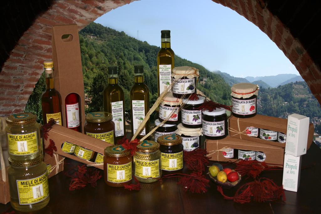 Agriturismo La Torre Bagni di Lucca Dış mekan fotoğraf